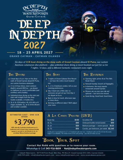 Deep Indepth 2027 flyer - first page preview